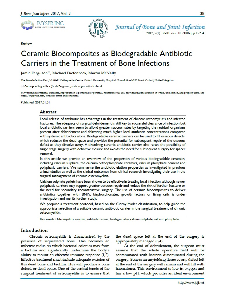 Ceramic biocomposites as biodegradable antibiotic carriers in the treatment of bone infections 