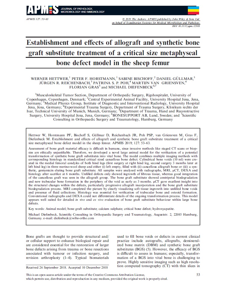 Establishment and effects of allograft and synthetic bone graft substitute treatment of a critical size metaphyseal bone defect model in the sheep femur