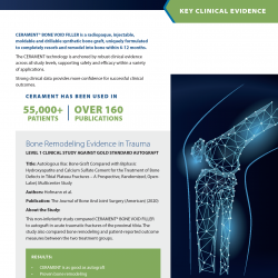 BVF Key Clinical Evidence Guide Cover Image
