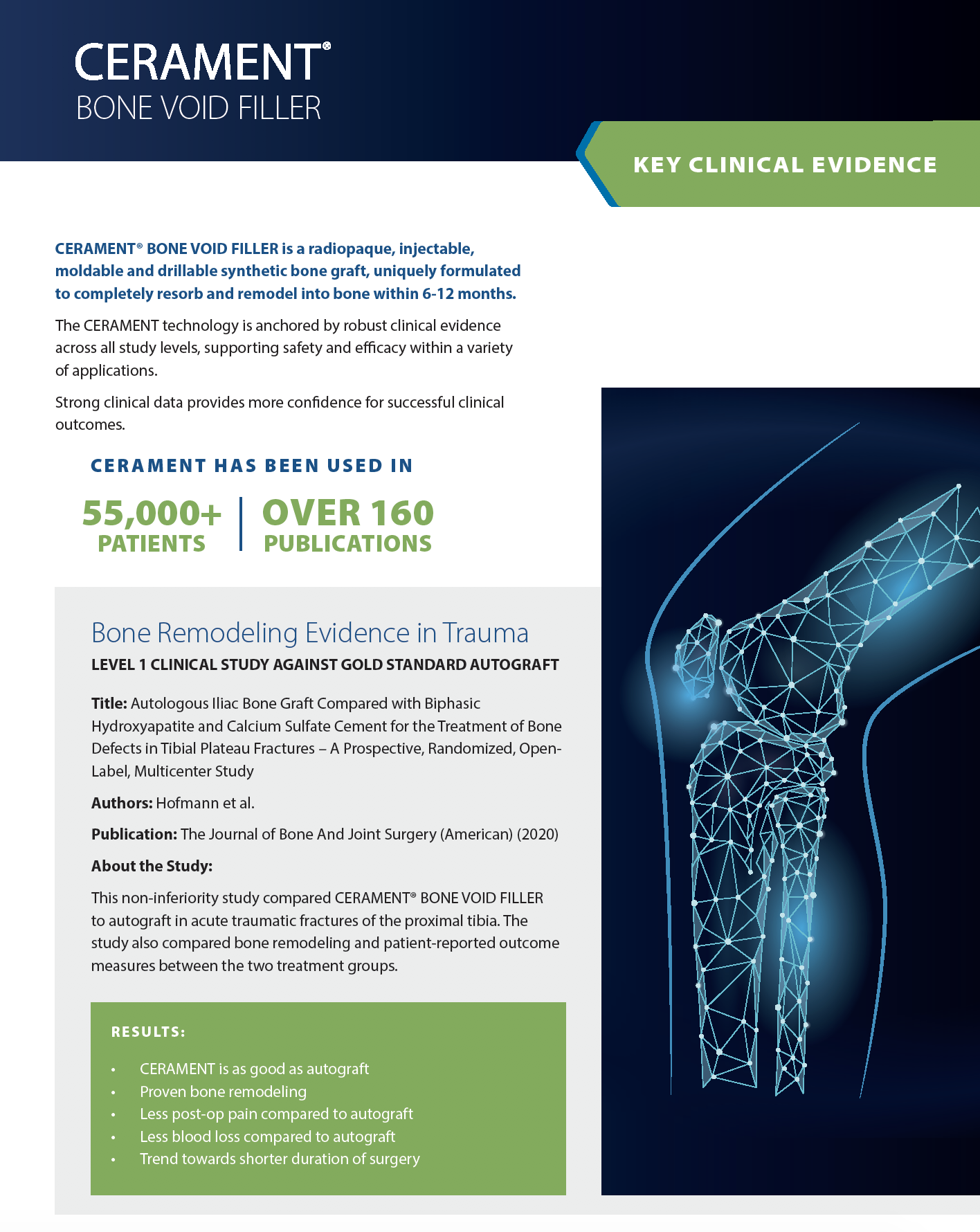Key Clinical Evidence Overview Guide – CERAMENT BVF